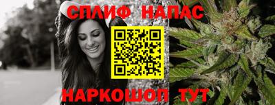 гашик Бузулук