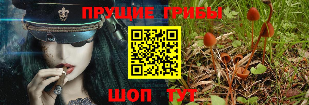 Галлюциногенные грибы GOLDEN TEACHER  Вход с VPN  Самара 